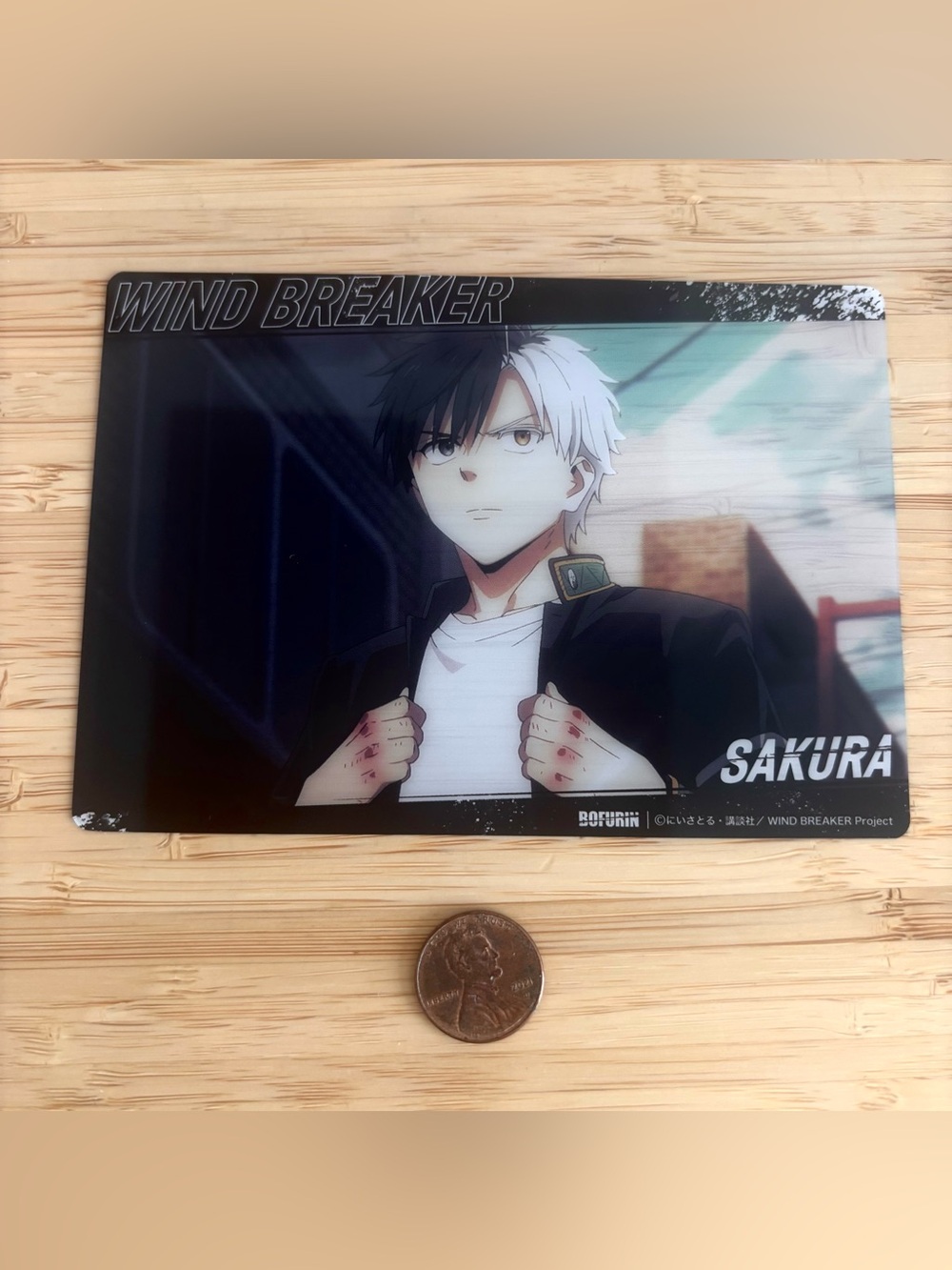 Rare wind breaker plastic print Sakura